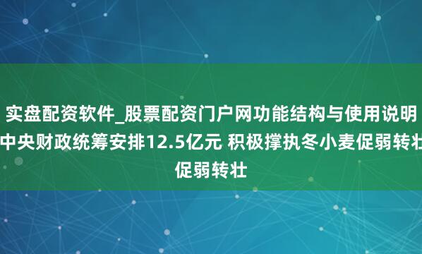 实盘配资软件_股票配资门户网功能结构与使用说明 中央财政统筹安排12.5亿元 积极撑执冬小麦促弱转壮