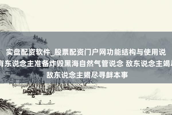 实盘配资软件_股票配资门户网功能结构与使用说明 普京：有东说念主准备炸毁黑海自然气管说念 敌东说念主竭尽寻衅本事