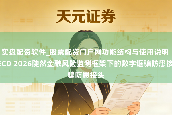 实盘配资软件_股票配资门户网功能结构与使用说明 OECD 2026陡然金融风险监测框架下的数字诓骗防患接头